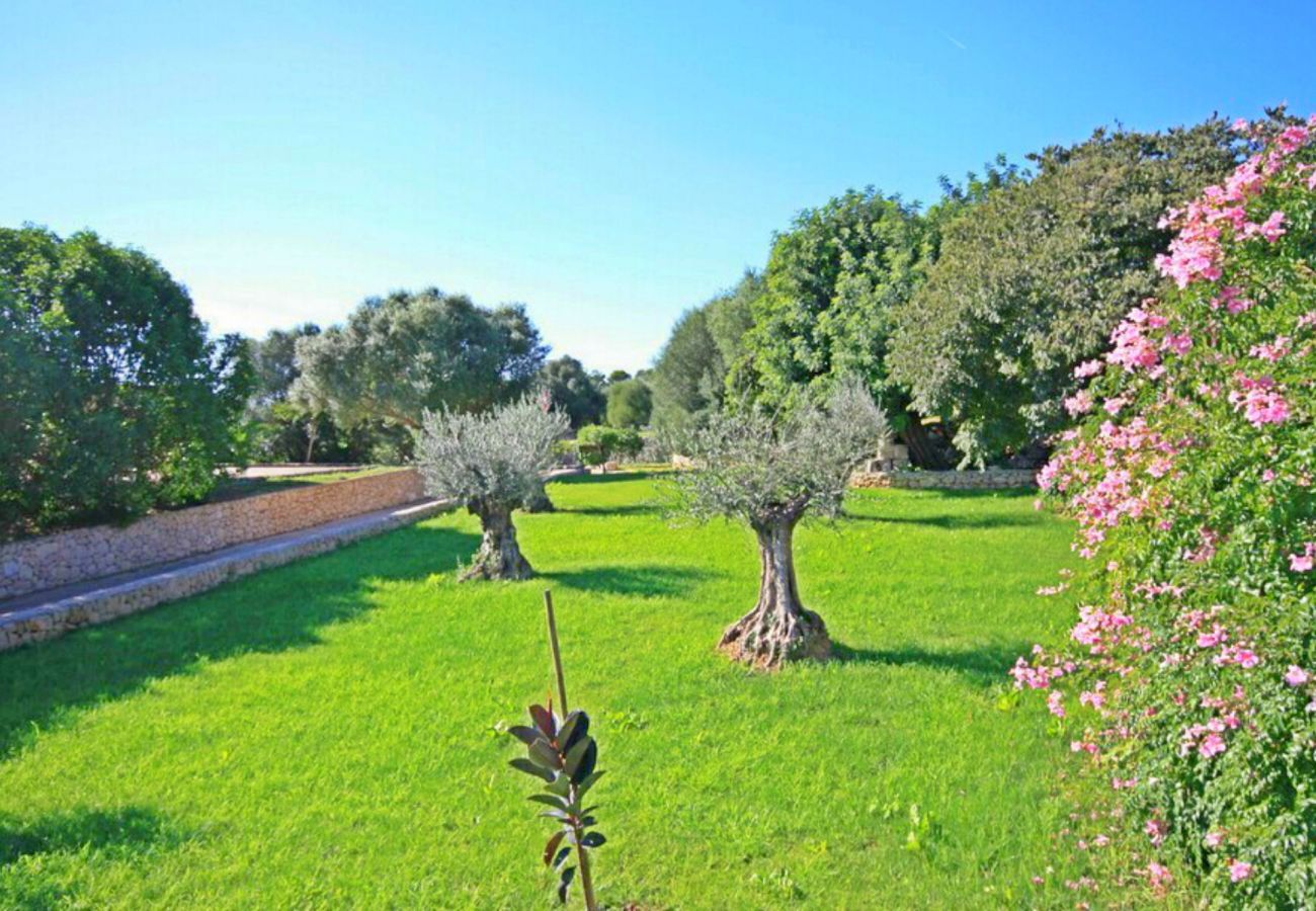 Mallorca Alquileres de fincas vacacionales Mallorca Alquileres de fincas vacacionales