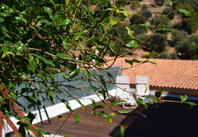 Mallorca Alquileres de fincas vacacionales Mallorca Alquileres de fincas vacacionales
