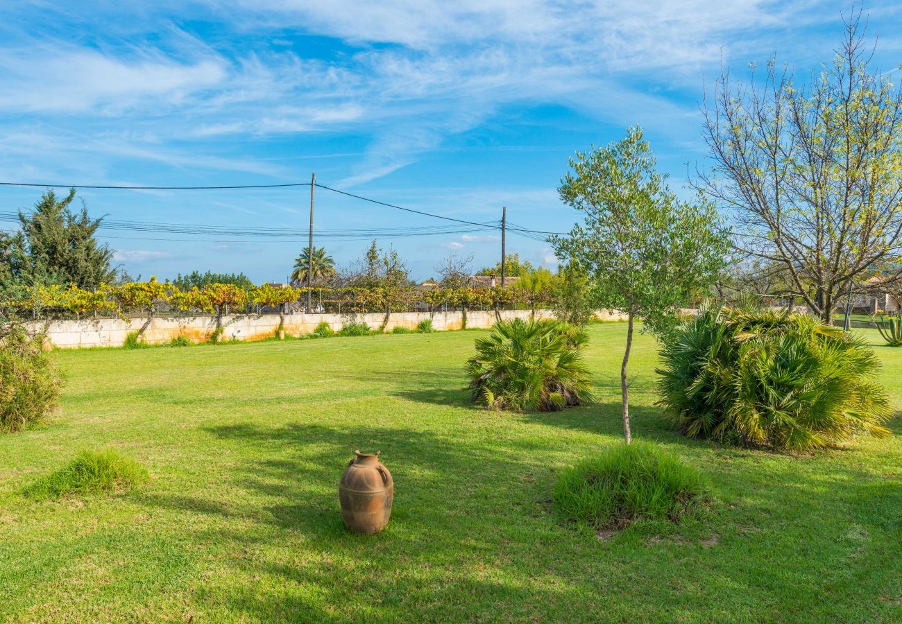 Finca en Selva - C111 Sa Vinyeta by Mallorca Villa Selection