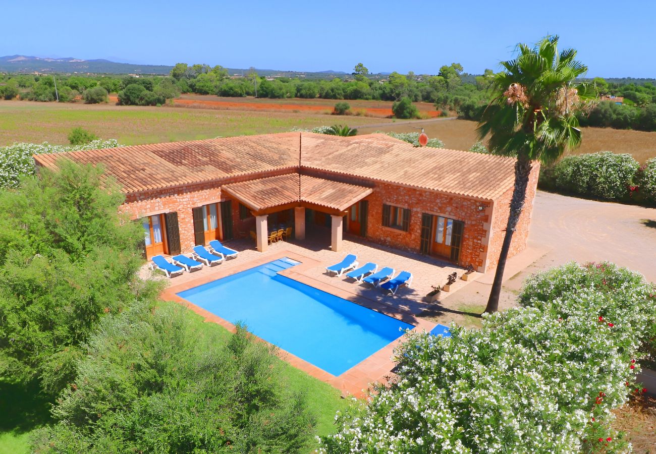 Finca grande con piscina y jardín