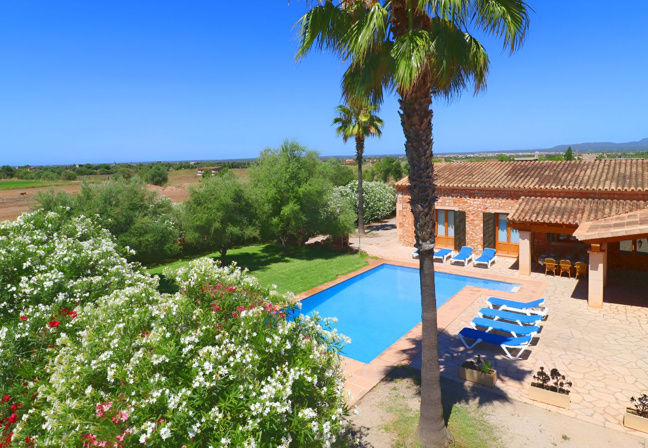 Finca en Campos - 404 Finca Can Mates Nou VT 1720 by Mallorca Char