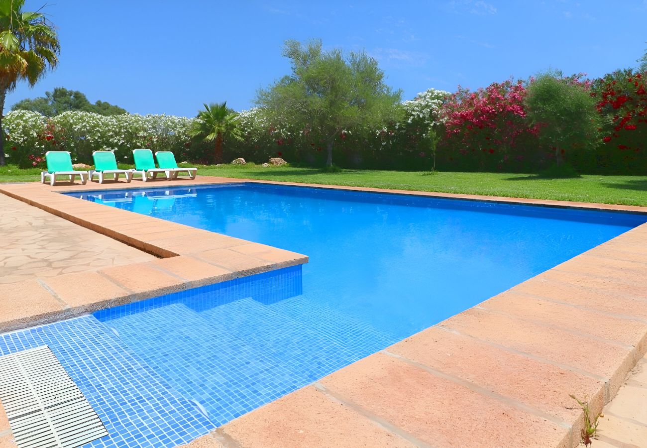 Finca, jardín, piscina, espacio, sol