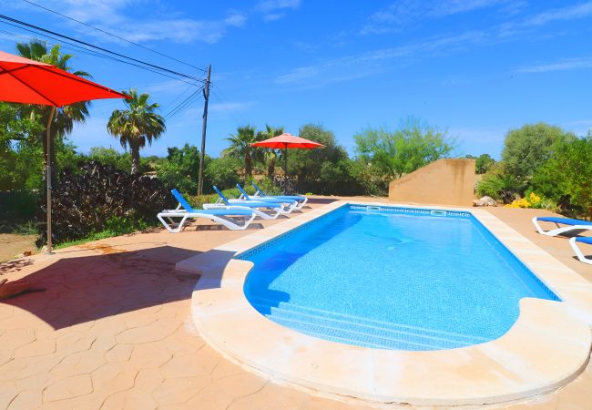 Piscina, naturaleza, terraza, vacaciones