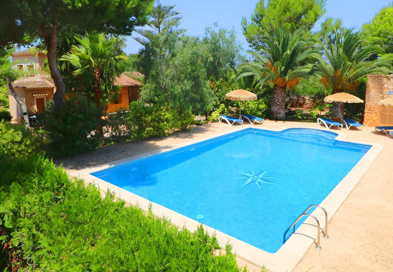 Jardín, naturaleza, piscina, bonita, Mallorca