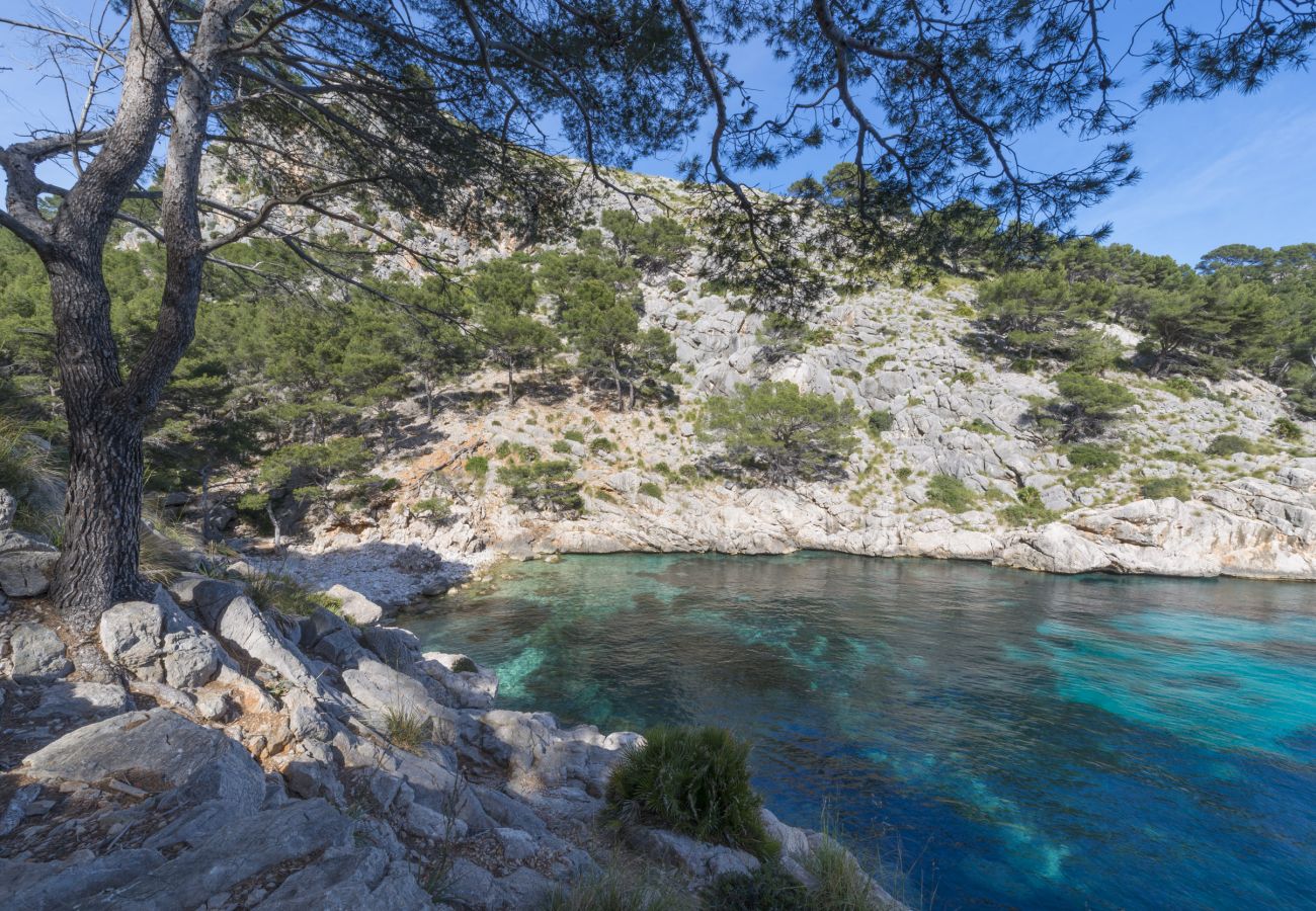 Finca en Inca - C124 Porxet by Mallorca Villa Selection