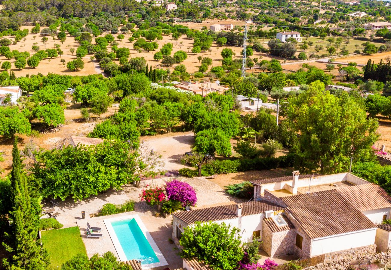 Finca en Inca - C124 Porxet by Mallorca Villa Selection