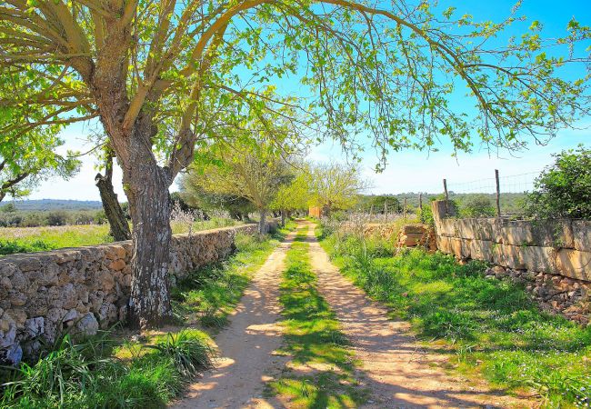 Finca en Son Serra de Marina - Finca Sa Cabaneta 235 by Mallorca Charme