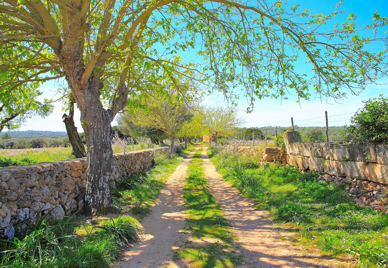 Finca en Son Serra de Marina - 235 Sa Cabaneta. S'original ETV/9570 by Mallorca