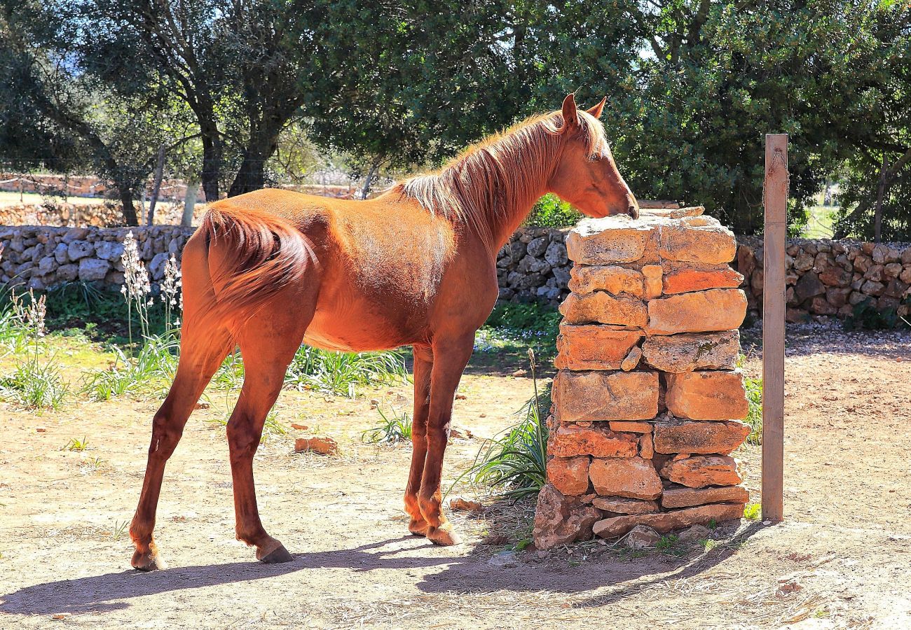 Finca en Son Serra de Marina - Finca Sa Cabaneta 235 by Mallorca Charme