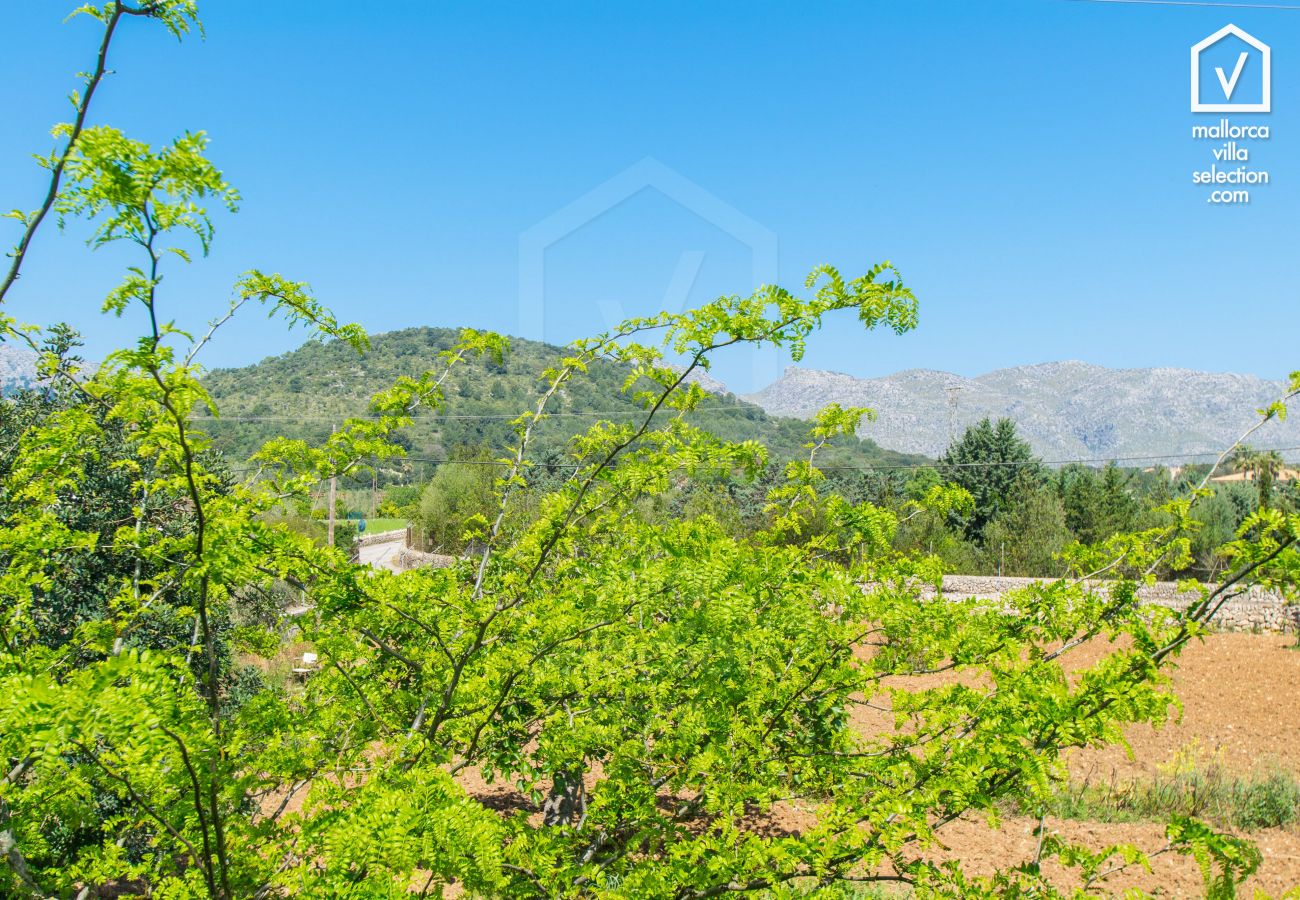 Finca en Pollensa / Pollença - C156 Verga by Mallorca Villa Selection
