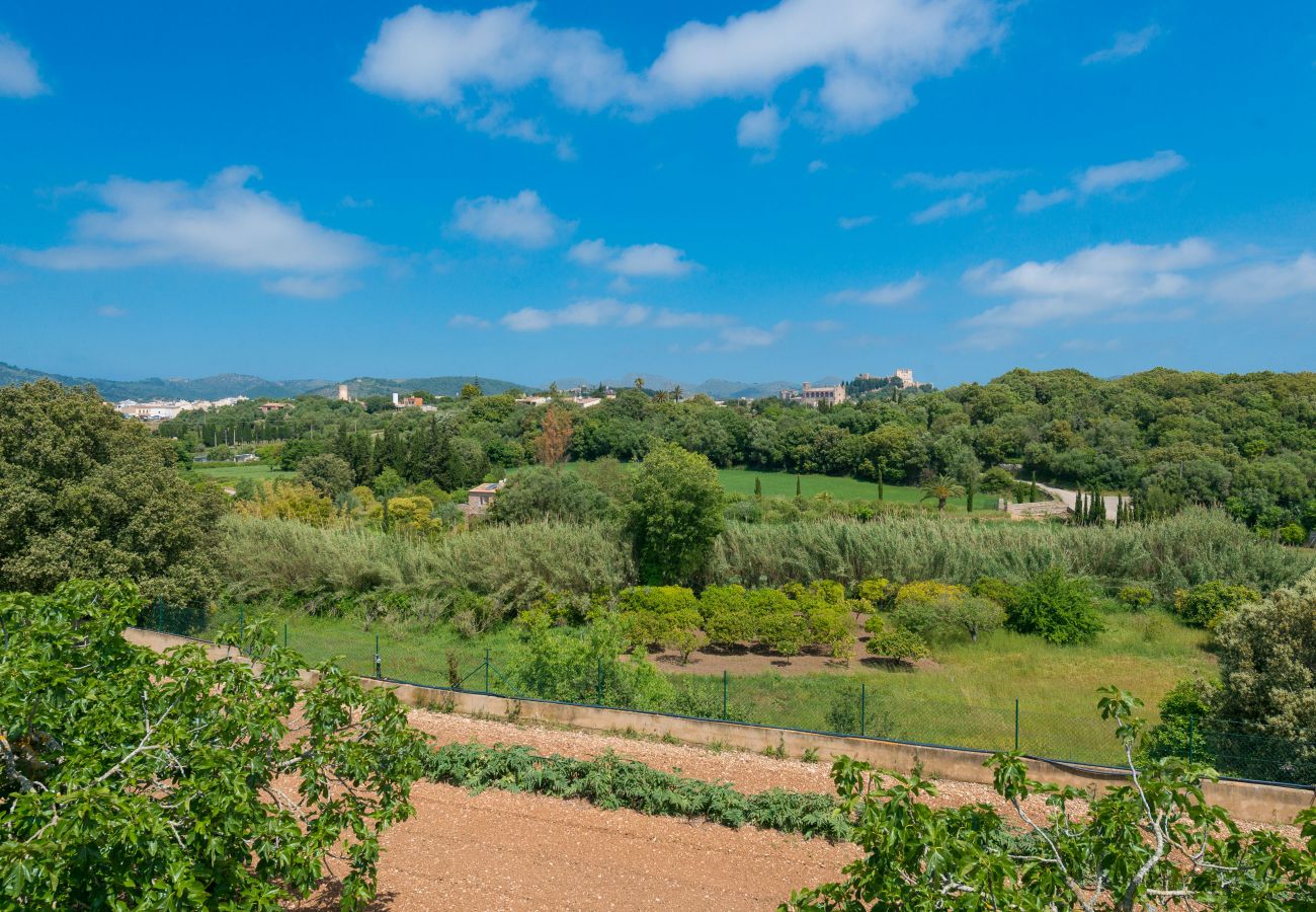 Finca en Arta - C162 El Molino by Mallorca Villa Selection
