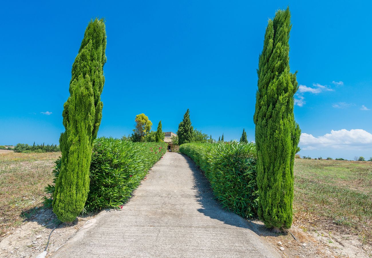 Finca en Santa Margalida - E198 Son Fum by Mallorca Villa Selection