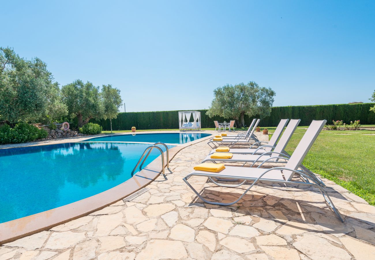 Finca en Sa Pobla - C203 Sant Vicens by Mallorca Villa Selection
