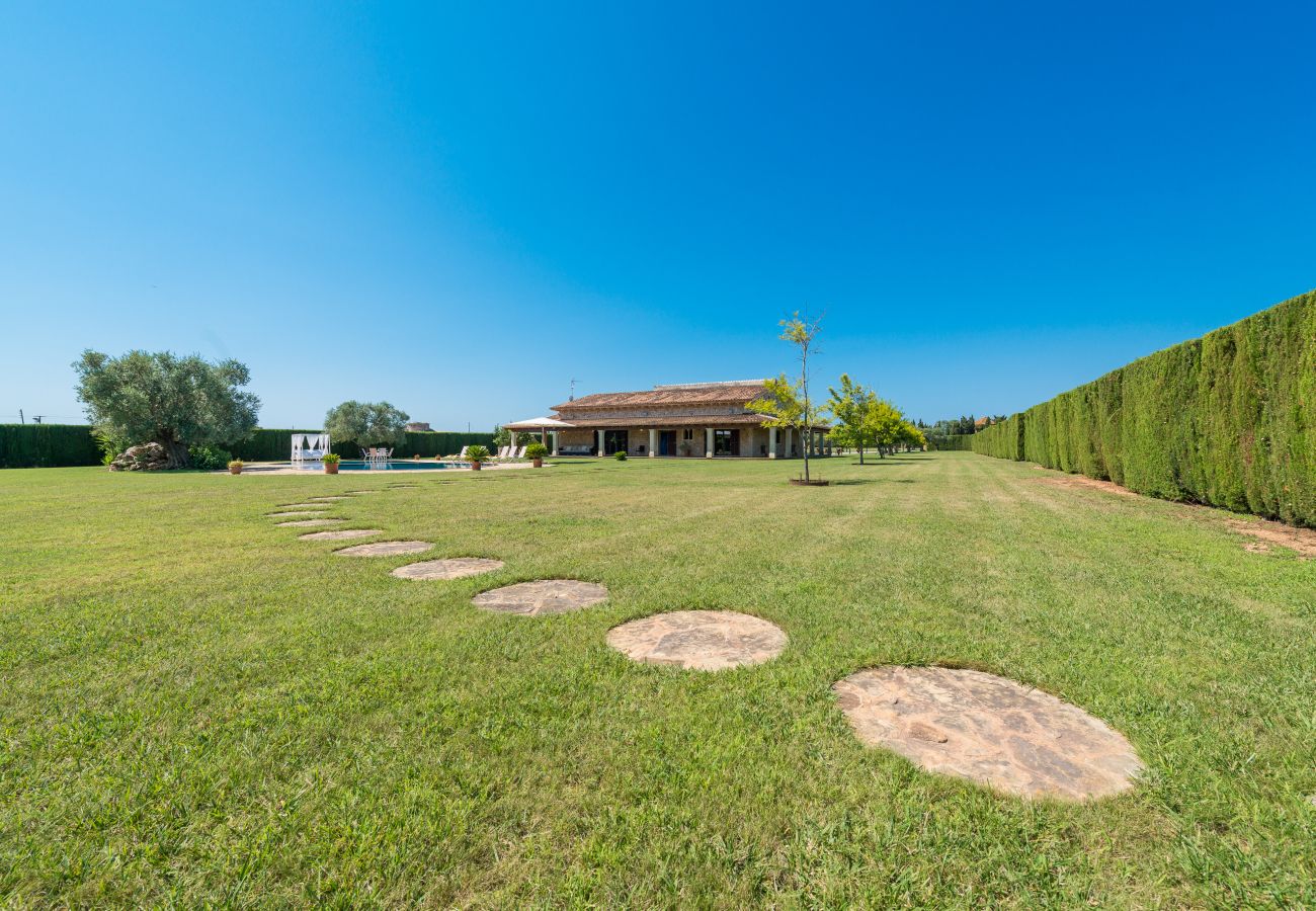 Finca en Sa Pobla - C203 Sant Vicens by Mallorca Villa Selection