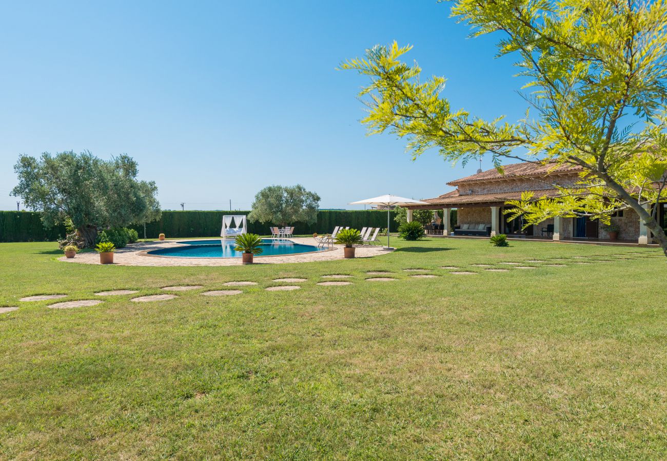 Finca en Sa Pobla - C203 Sant Vicens by Mallorca Villa Selection