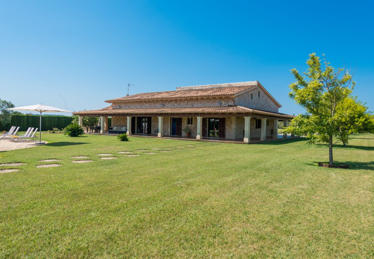 Finca en Sa Pobla - C203 Sant Vicens by Mallorca Villa Selection