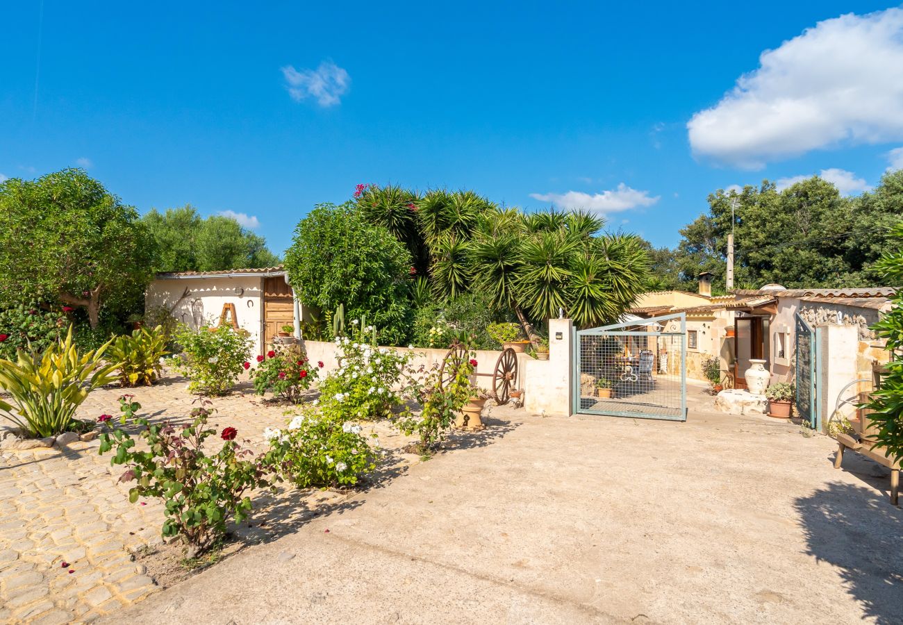 Finca en Arta - E219 Kashmir by Mallorca Villa Selection