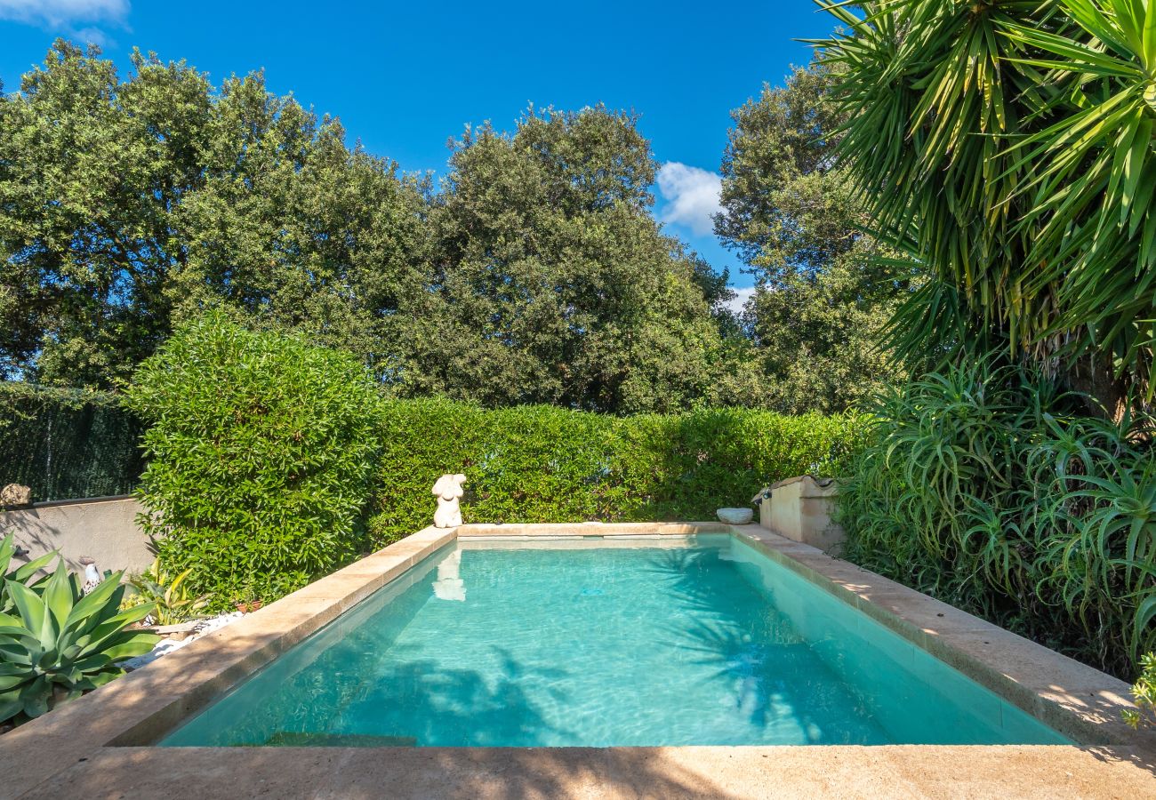 Finca en Arta - E219 Kashmir by Mallorca Villa Selection