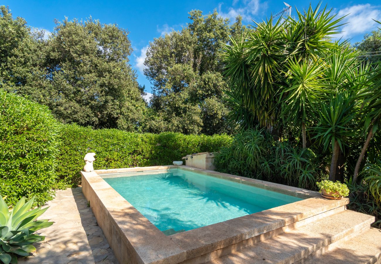 Finca en Arta - E219 Kashmir by Mallorca Villa Selection