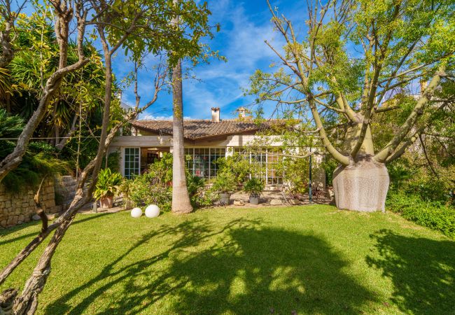 Finca en Inca - C221 CAN MANDOL ETV/6207 by Mallorca Villa Selecti Finca en Inca - C221 CAN MANDOL ETV/6207 by Mallorca Villa Selecti