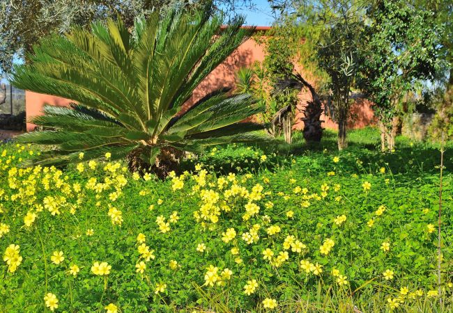 foto del jardin de la villa en muro