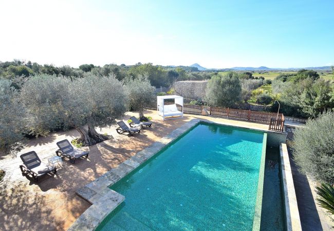 Piscina con vistas al campo