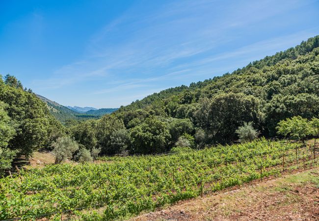 Villa en Pollensa / Pollença - PICASSA   Ref: VP29 Villa en Pollensa / Pollença - PICASSA   Ref: VP29