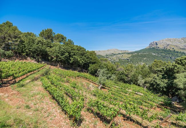 Villa en Pollensa / Pollença - PICASSA   Ref: VP29 Villa en Pollensa / Pollença - PICASSA   Ref: VP29