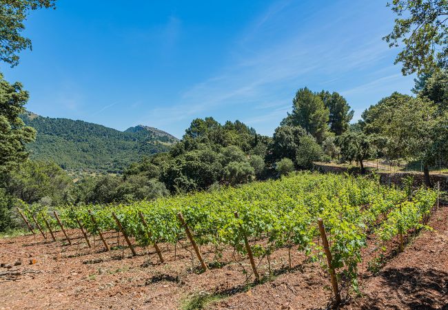 Villa en Pollensa / Pollença - PICASSA   Ref: VP29 Villa en Pollensa / Pollença - PICASSA   Ref: VP29