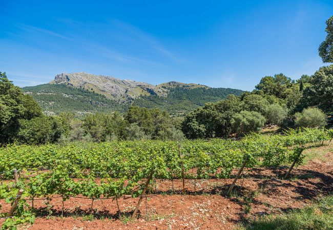 Villa en Pollensa / Pollença - PICASSA   Ref: VP29 Villa en Pollensa / Pollença - PICASSA   Ref: VP29