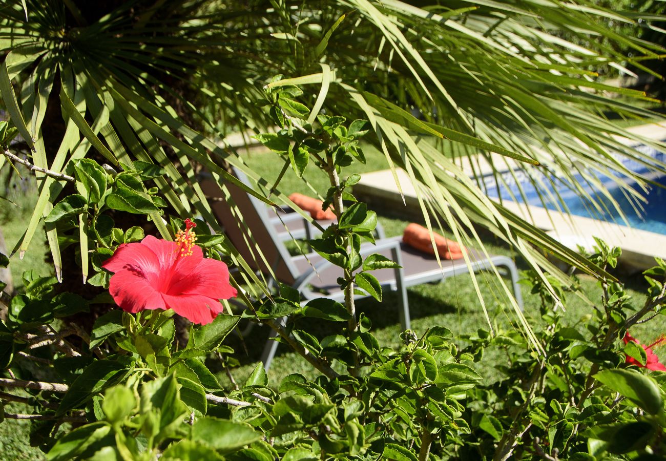 Villa en Port de Pollença - TINTORER  ref. PP04