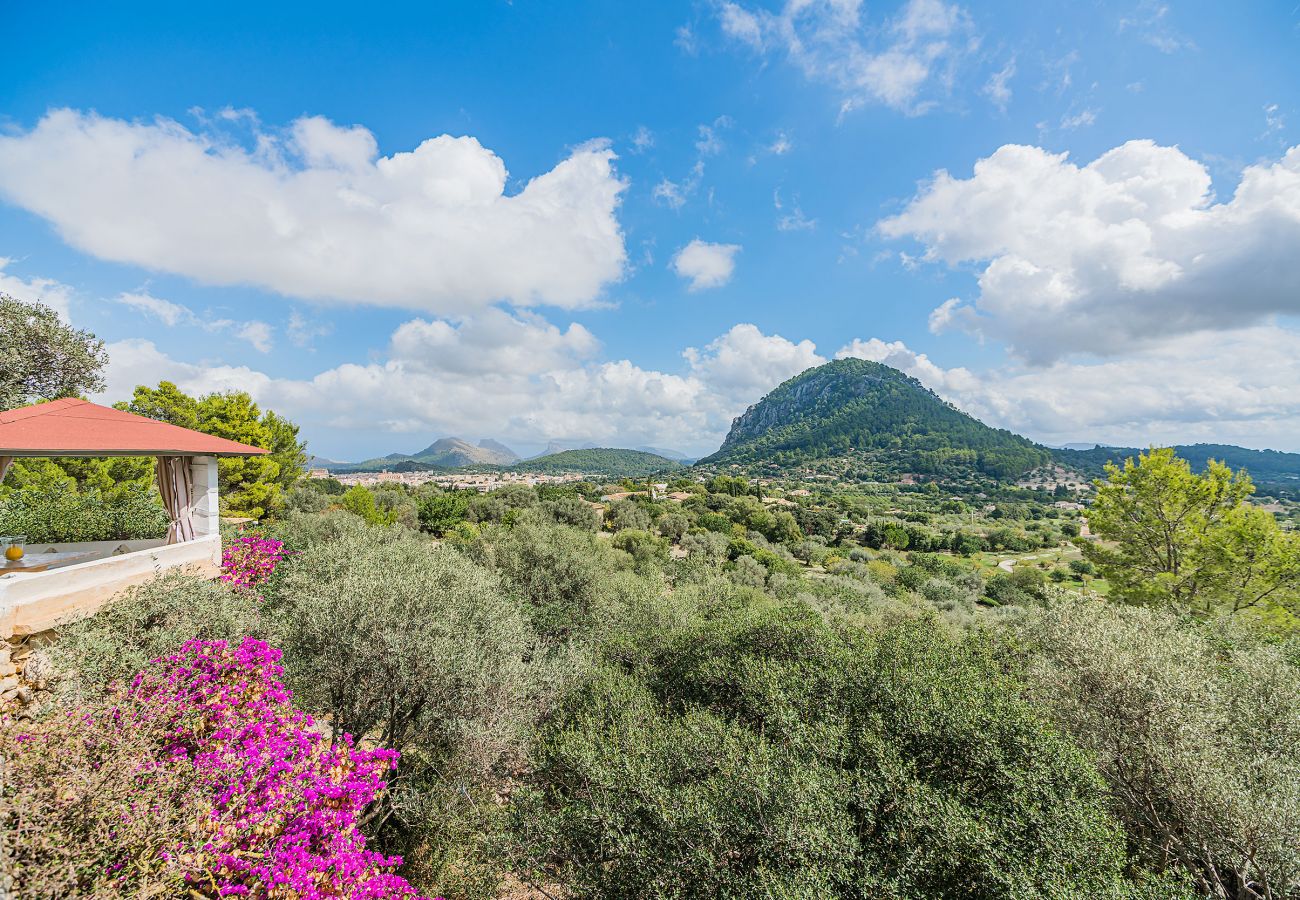 Finca en Pollensa / Pollença - FINCA LA BELLEZA (ETV/2368)  Ref. VP13