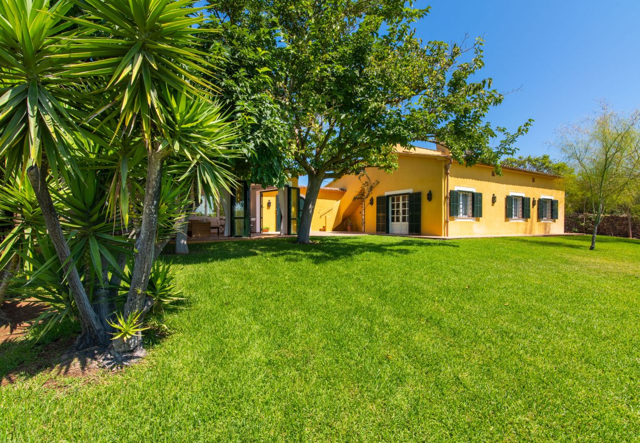 Finca en Manacor - Sestador Blat, Finca 5StarsHome Mallorca