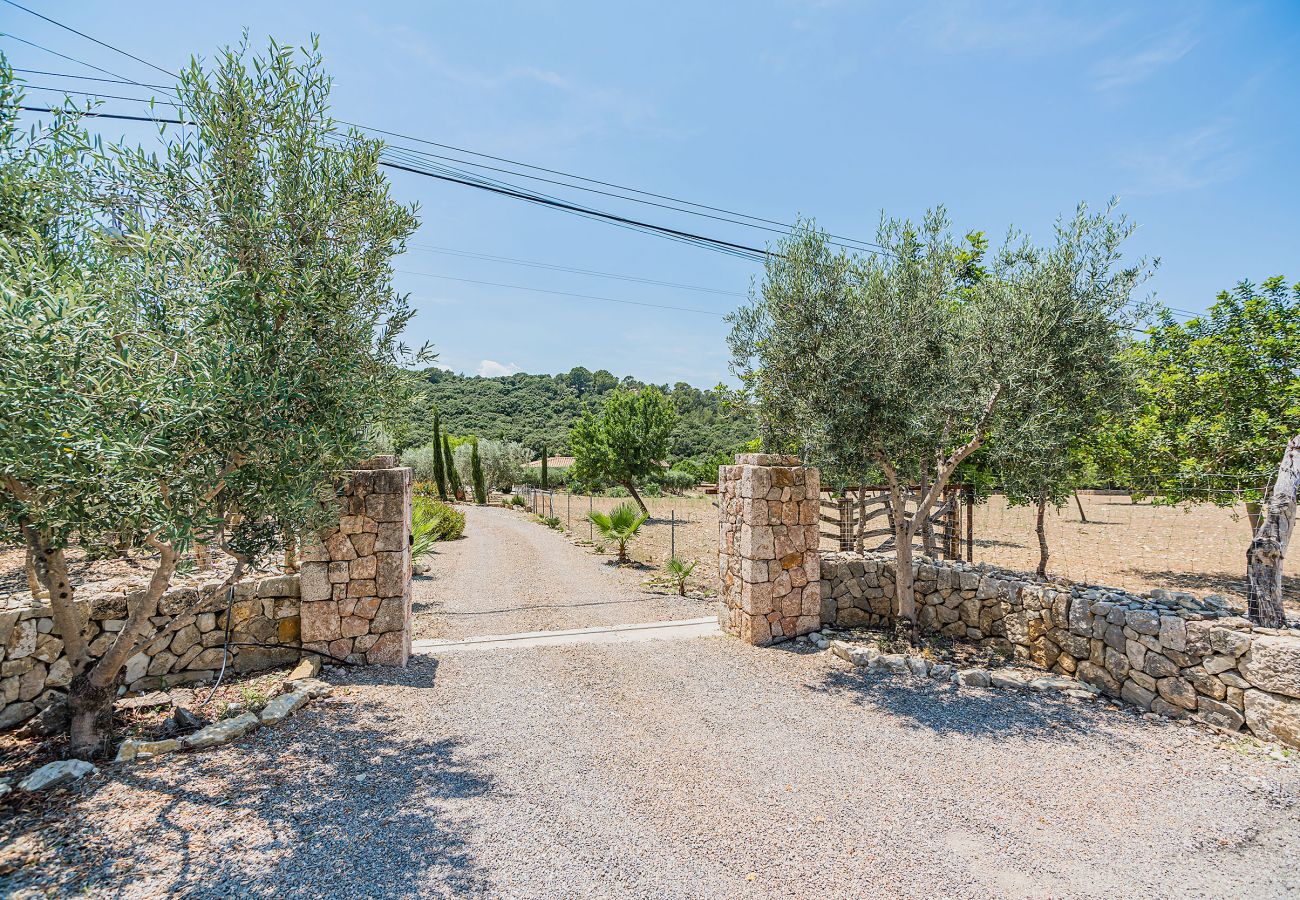 Finca en Pollensa / Pollença - MALAGARBA  Ref. VP30