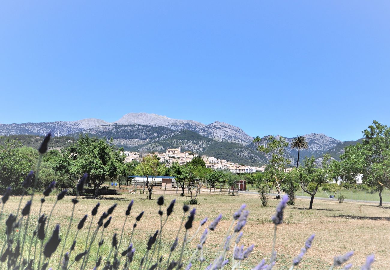 Finca en Selva - C277 Son Rubi by Mallorca Villa Selection
