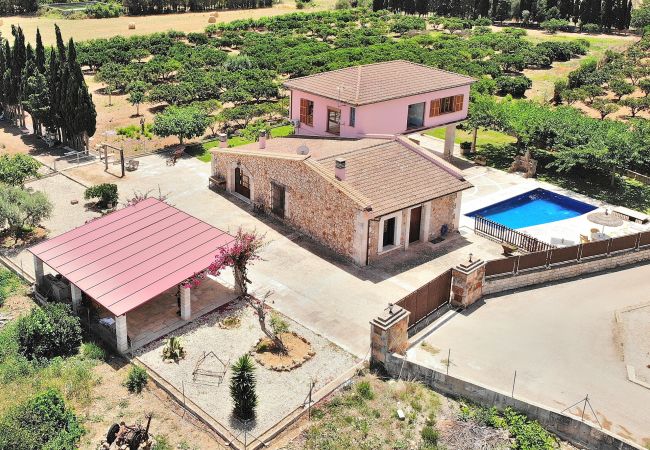 Villa en Muro - 239 Villa Biniaco ETV/4993 by Mallorca Charme Villa en Muro - 239 Villa Biniaco ETV/4993 by Mallorca Charme