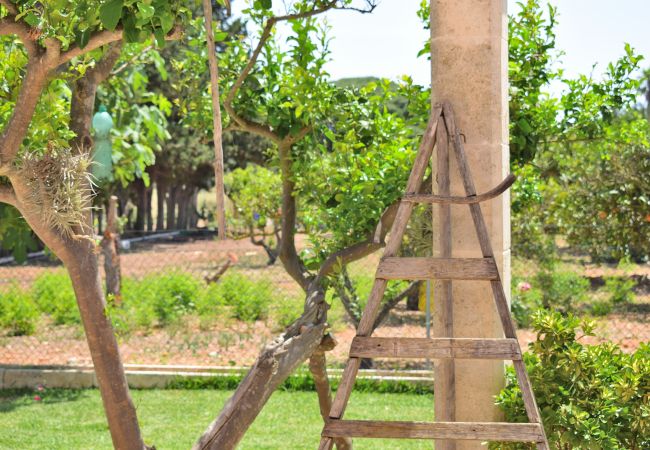Villa en Muro - 239 Villa Biniaco ETV/4993 by Mallorca Charme Villa en Muro - 239 Villa Biniaco ETV/4993 by Mallorca Charme