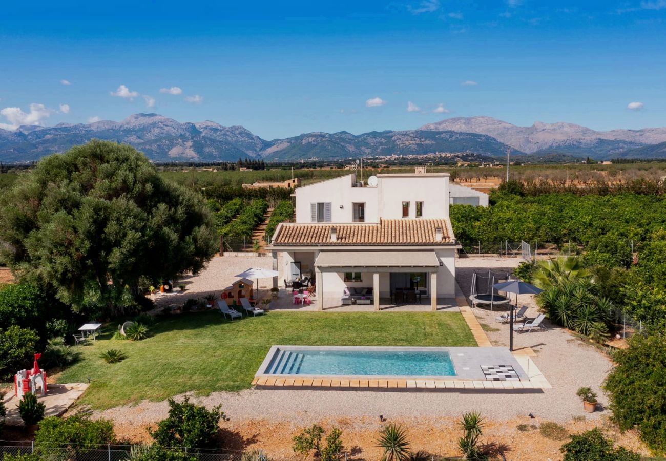 Finca en Llubi - C285 Albamar by Mallorca Villa Selection