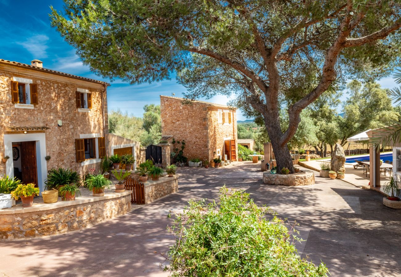 Finca en Santanyi - C298 Angoixes by Mallorca Villa Selection