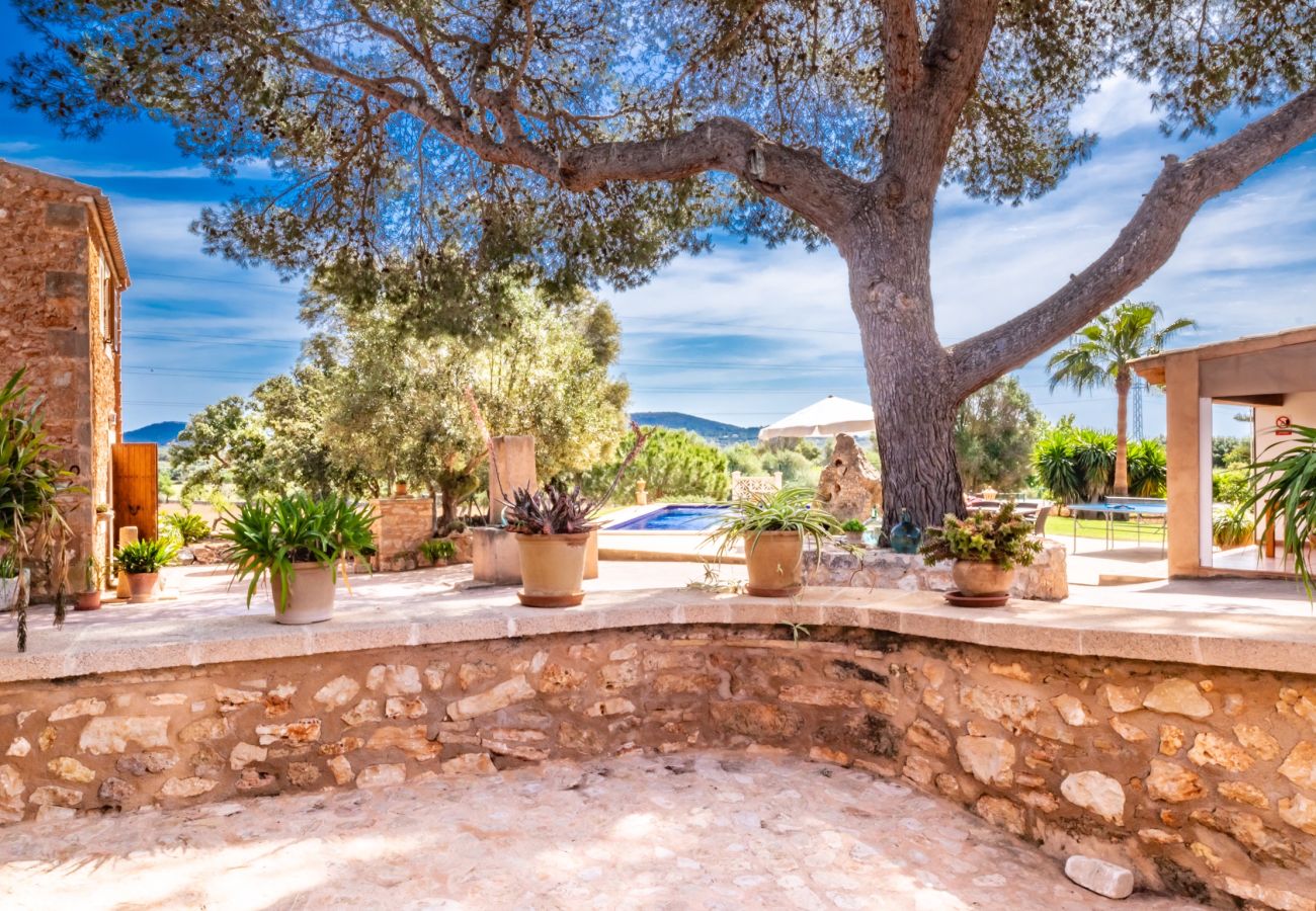 Finca en Santanyi - C298 Angoixes by Mallorca Villa Selection