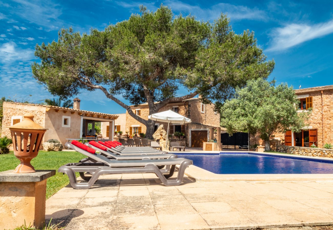 Finca en Santanyi - C298 Angoixes by Mallorca Villa Selection