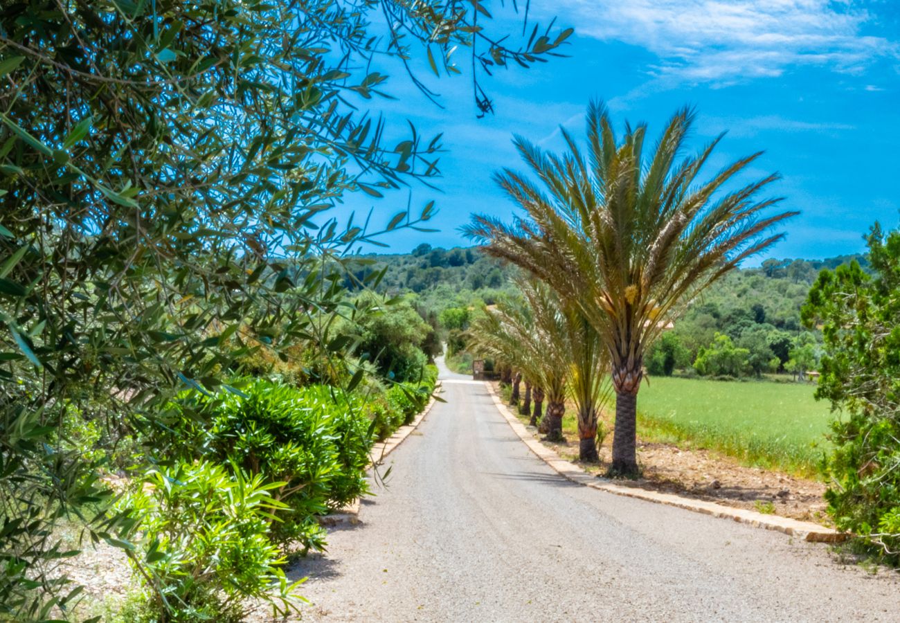 Finca en Felanitx - C296 Son Peris by Mallorca Villa Selection