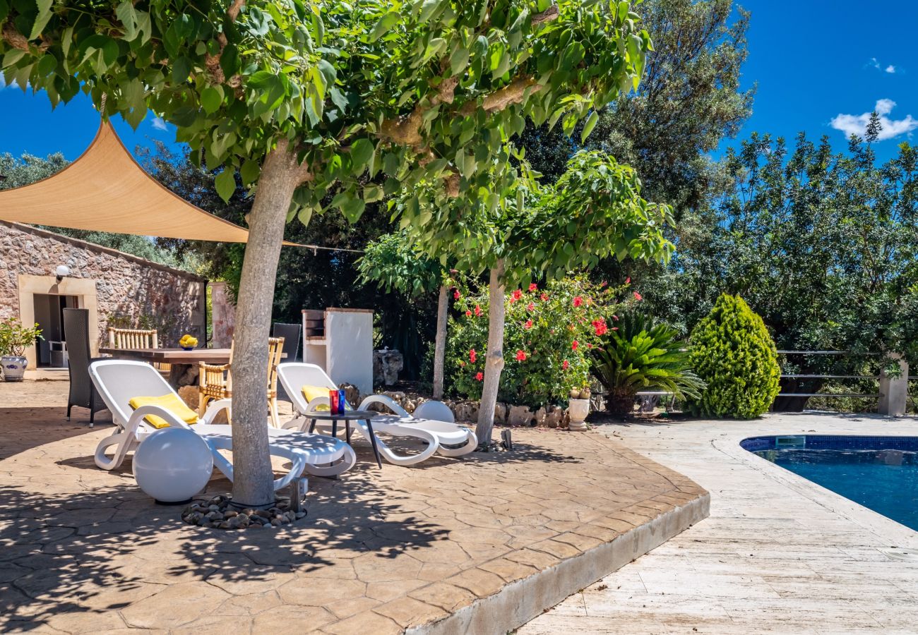 Villa en Alcúdia - C299 Can Canto by Mallorca Villa Selection