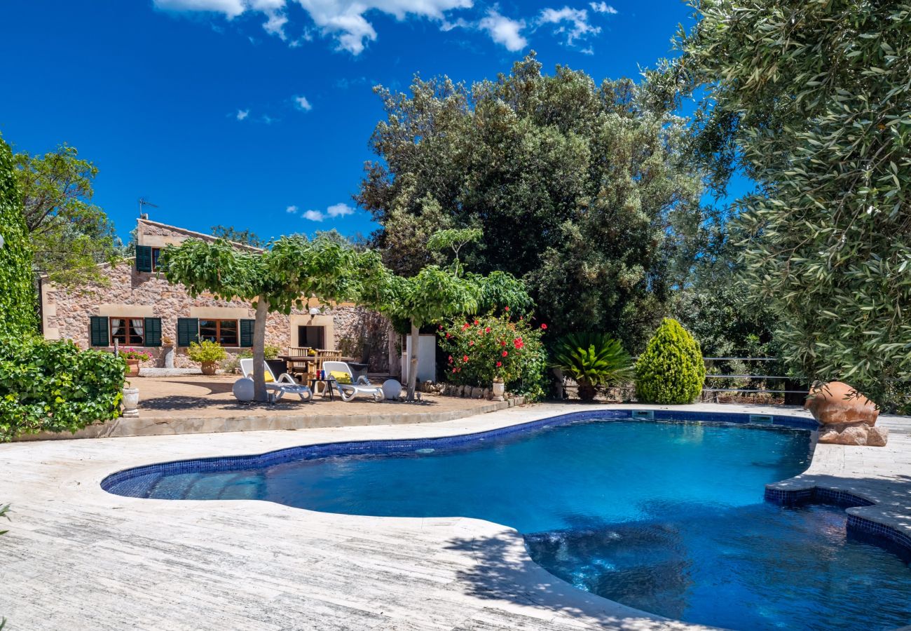Villa en Alcúdia - C299 Can Canto by Mallorca Villa Selection