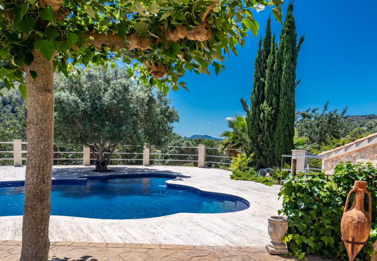 Villa en Alcúdia - C299 Can Canto by Mallorca Villa Selection