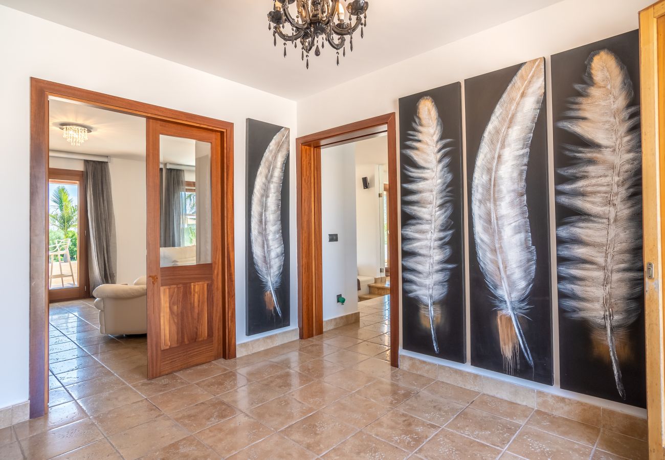Villa en Alcúdia - C313 Can Oliva by Mallorca Villa Selection