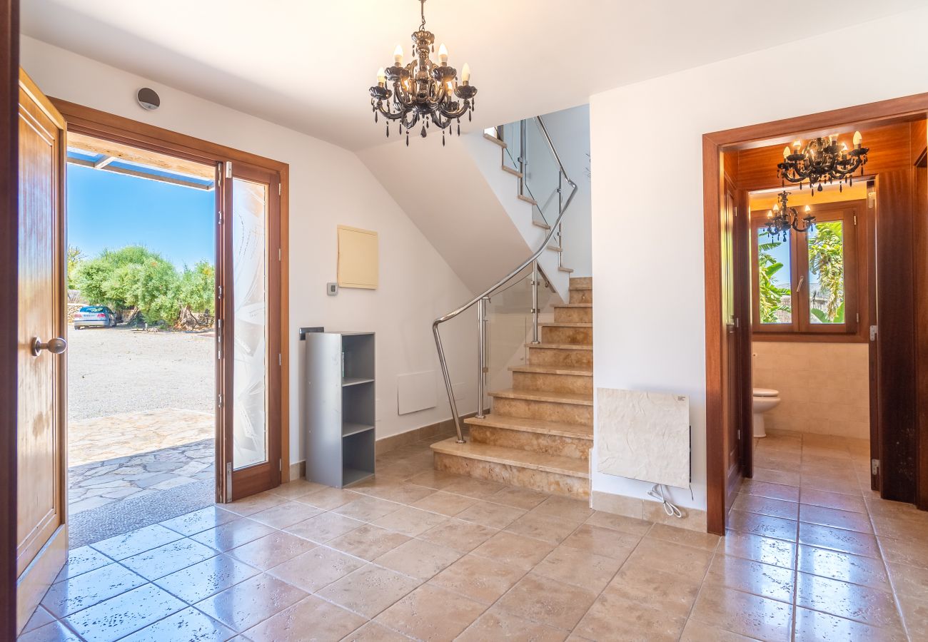 Villa en Alcúdia - C313 Can Oliva by Mallorca Villa Selection