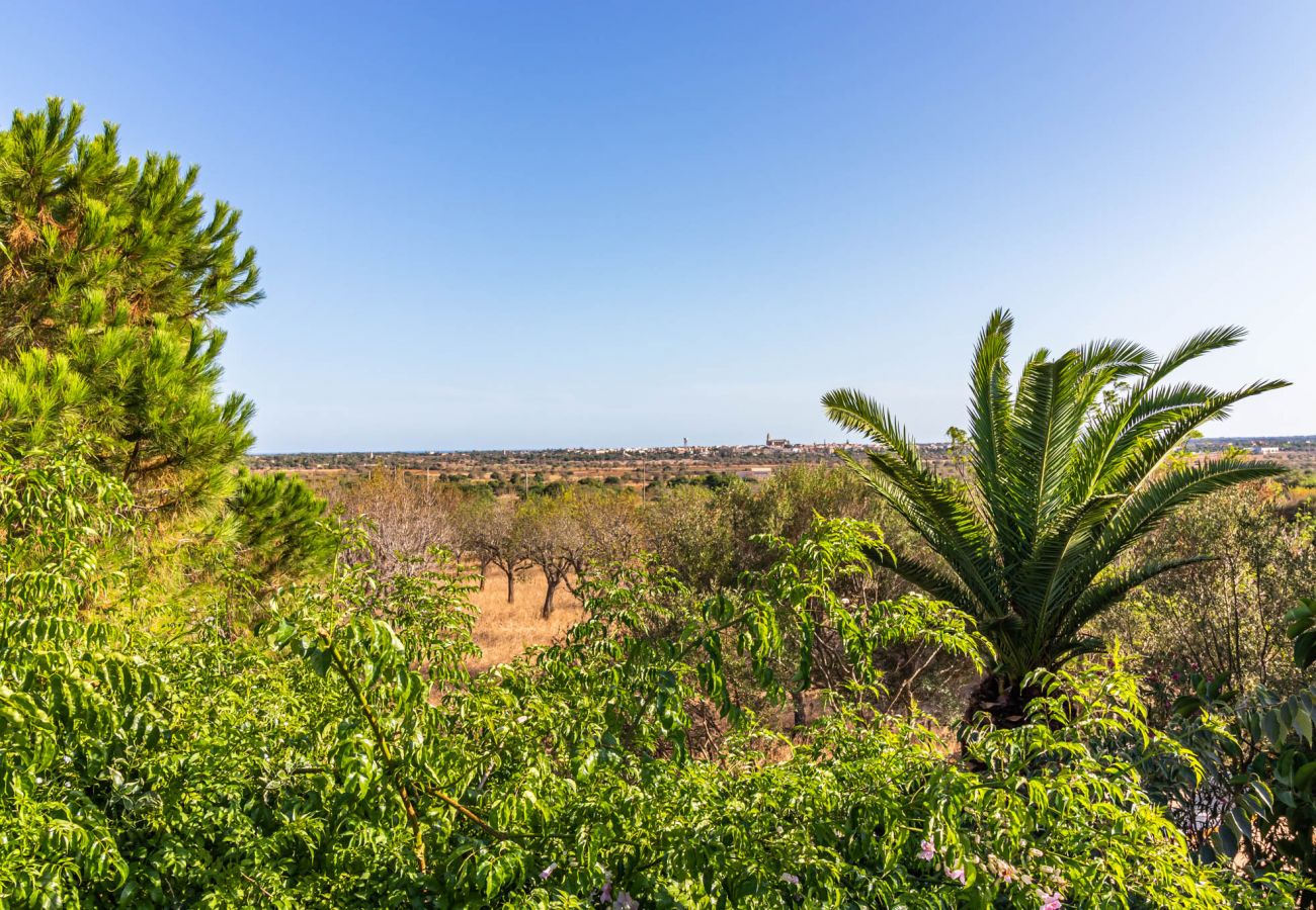 Finca en Santanyi - Can Blai Blai