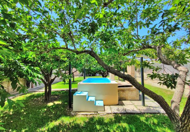 Jardín verde con piscina