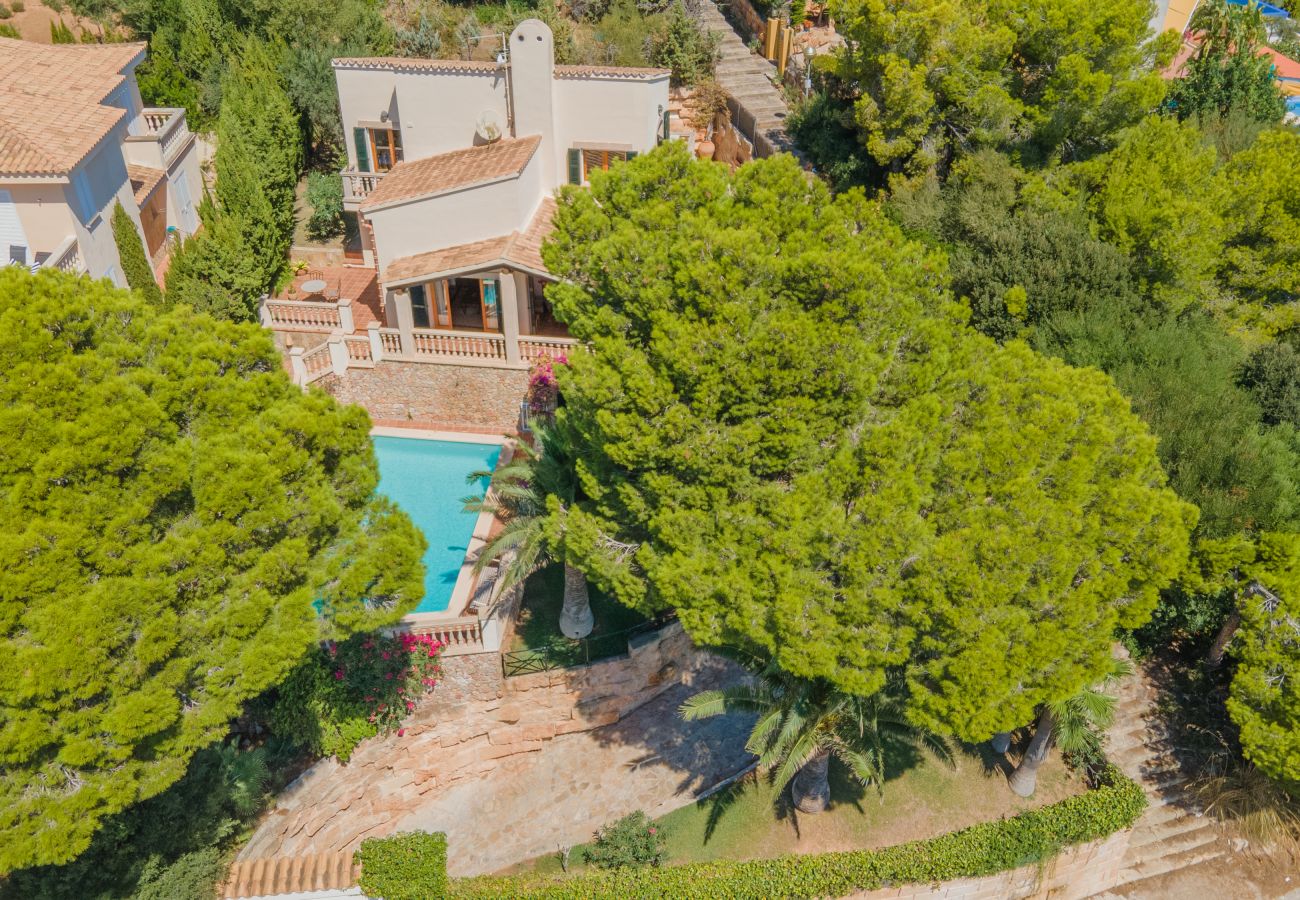 Casa en Alcúdia - E314 Tres Pinos by Mallorca Villa Selection